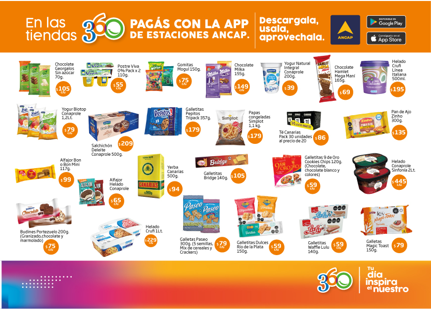 Mailing S Et Oct 2023 Mesa De Trabajo 1 Copia 8